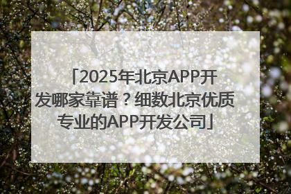 2025年北京APP开发哪家靠谱？细数北京优质专业的APP开发公司