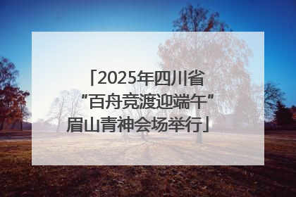 2025年四川省“百舟竞渡迎端午”眉山青神会场举行
