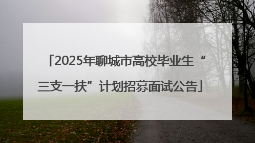 2025年聊城市高校毕业生“三支一扶”计划招募面试公告