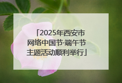2025年西安市网络中国节·端午节主题活动顺利举行