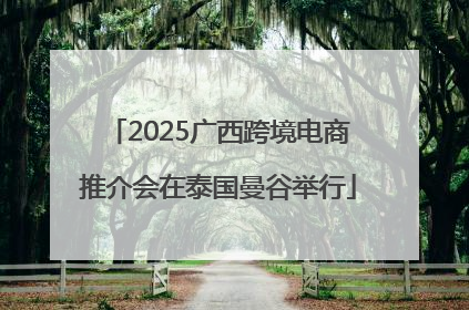 2025广西跨境电商推介会在泰国曼谷举行
