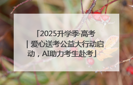 2025升学季·高考｜爱心送考公益大行动启动，AI助力考生赴考
