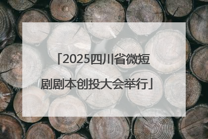 2025四川省微短剧剧本创投大会举行