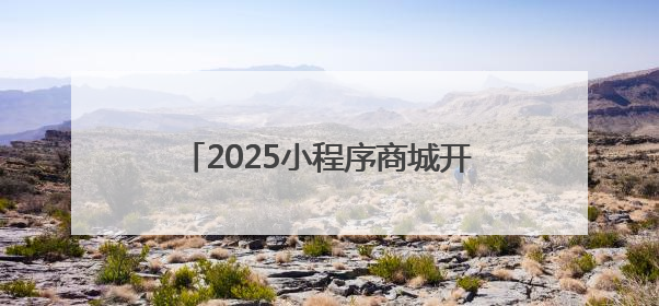 2025小程序商城开发公司排名，盘点优质的小程序商城开发公司