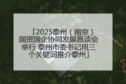 2025泰州（南京）国资国企协同发展恳谈会举行 泰州市委书记用三个关键词推介泰州