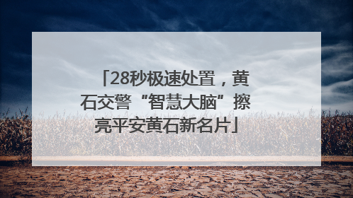 28秒极速处置，黄石交警“智慧大脑”擦亮平安黄石新名片