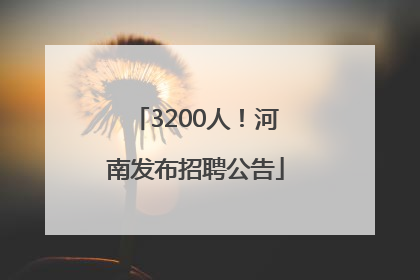 3200人！河南发布招聘公告