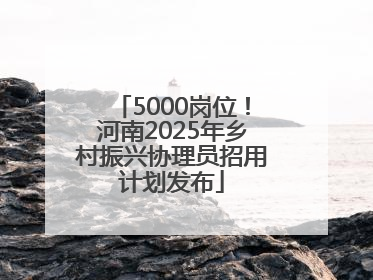 5000岗位！河南2025年乡村振兴协理员招用计划发布