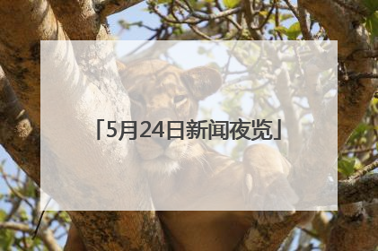 5月24日新闻夜览