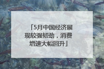 5月中国经济展现较强韧劲，消费增速大幅回升