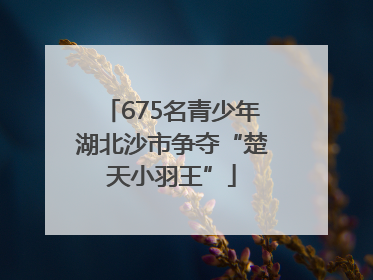 675名青少年湖北沙市争夺“楚天小羽王”
