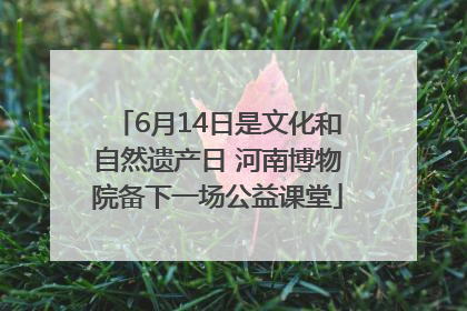 6月14日是文化和自然遗产日 河南博物院备下一场公益课堂
