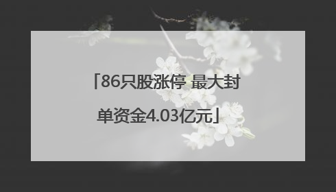 86只股涨停 最大封单资金4.03亿元