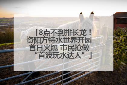 8点不到排长龙！资阳方特水世界开园首日火爆 市民抢做“首波玩水达人”