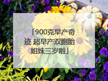 900克早产奇迹 超早产双胞胎姐妹三岁啦