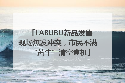 LABUBU新品发售现场爆发冲突，市民不满“黄牛”清空盒机