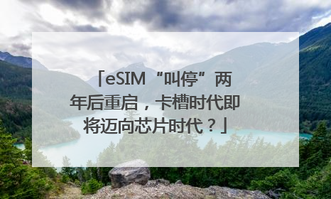 eSIM“叫停”两年后重启，卡槽时代即将迈向芯片时代？